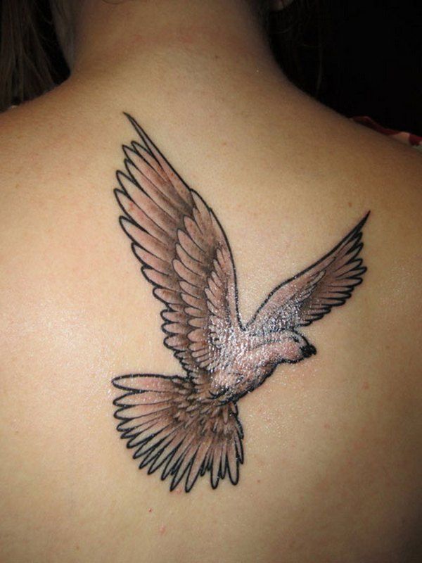 Top 105 3 Doves Tattoo Meaning Spcminer Com