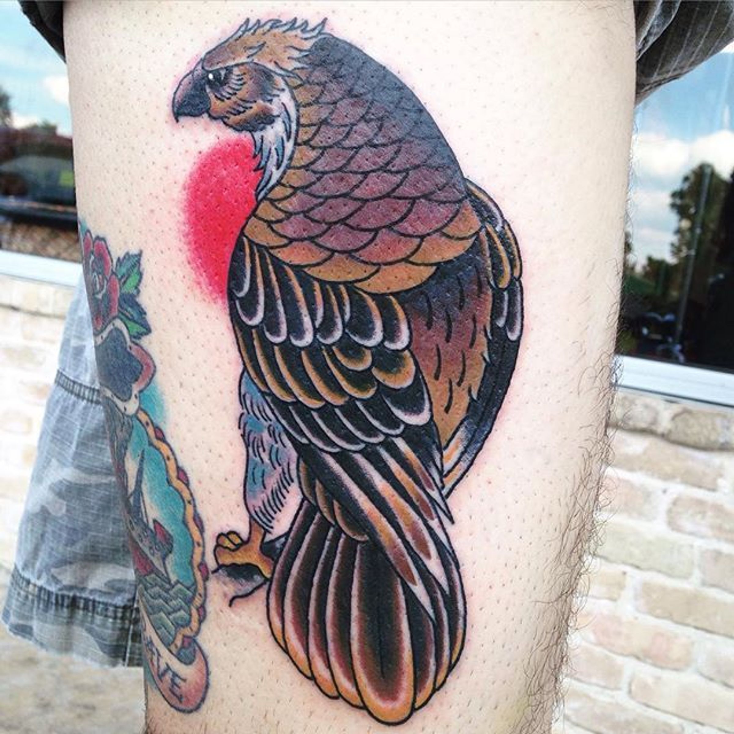 Traditional Style Hawk Tattoo