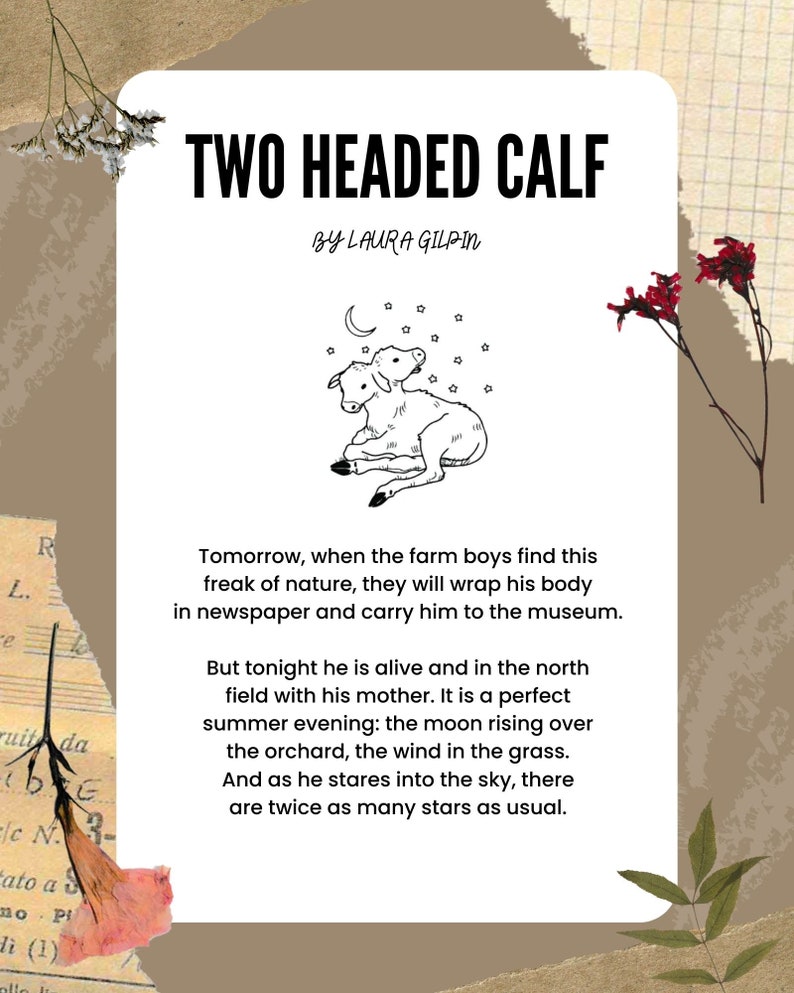 Two Headed Calf Poem Illustration Poster For Sale By Cone Two