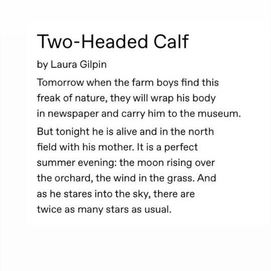 Two Headed Calf Poem Meaning Here S What You Need To Know Make A