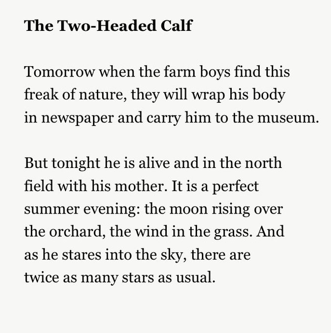 Two Headed Calf Poem: Exploring Its Deep Meaning