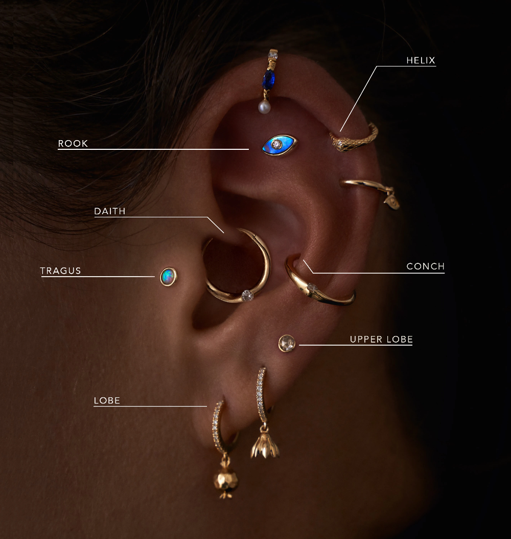 Types Of Ear Piercings Best Ear Piercing Chart And Guide