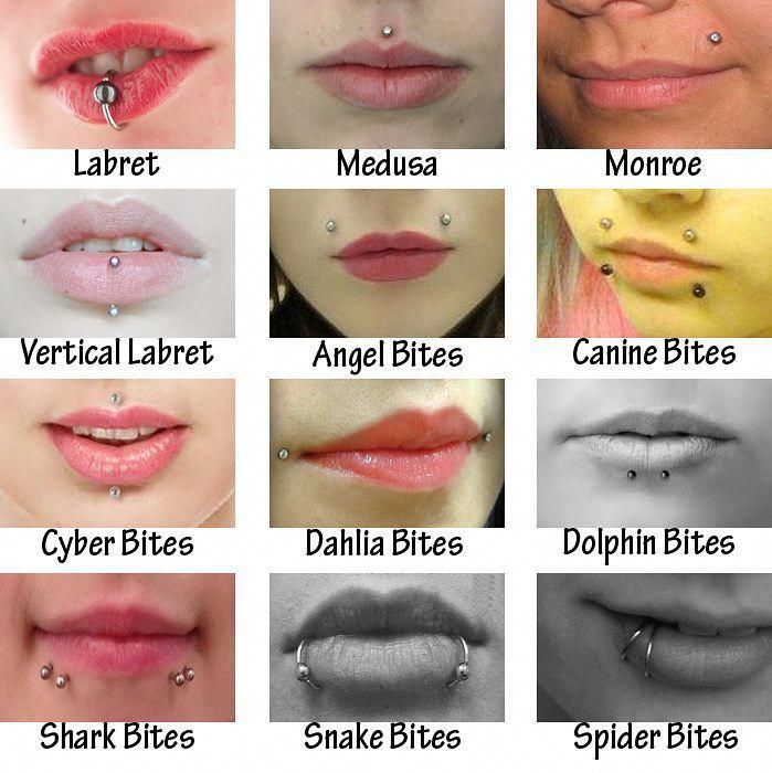 Types Of Piercings And Their Names Musely