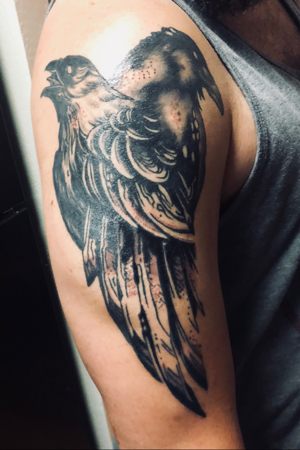 Update 54 Huginn And Muninn Tattoo Latest In Cdgdbentre