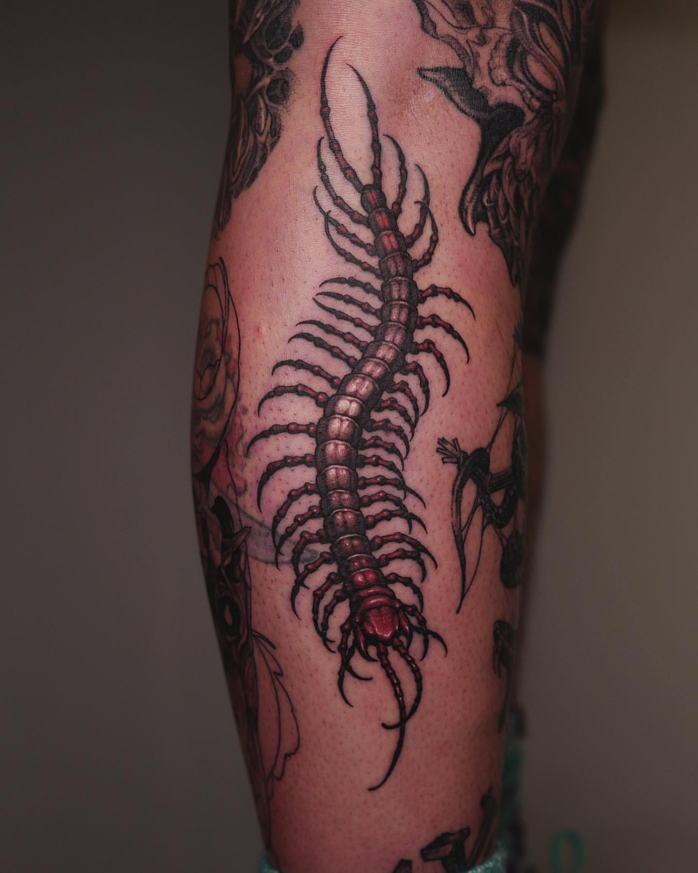 Update More Than 81 Centipede Tattoo Design Super Hot In Cdgdbentre