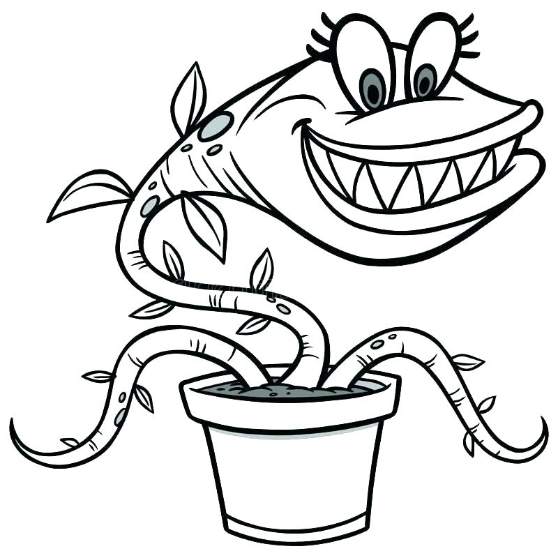 Venus Fly Trap Drawing At Getdrawings Free Download