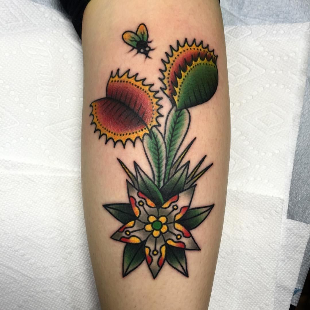 Venus Fly Trap Tattoo: Meaning, Design Tips, and Inspiration