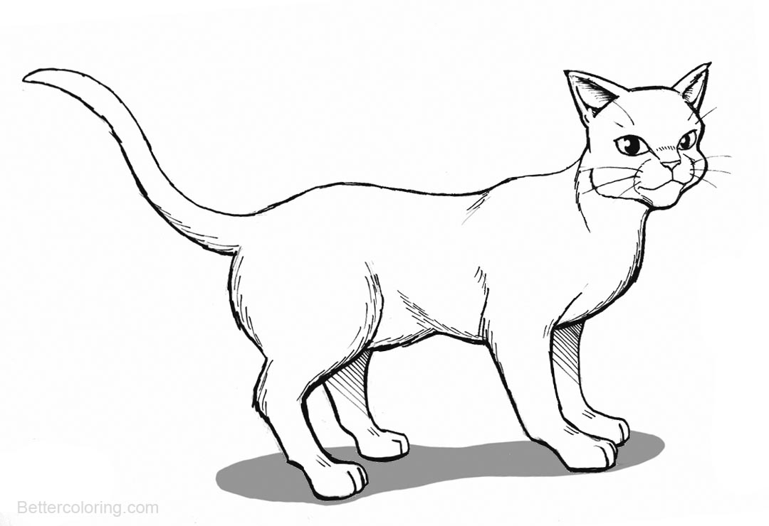 Free Warrior Cat Coloring Pages for Kids