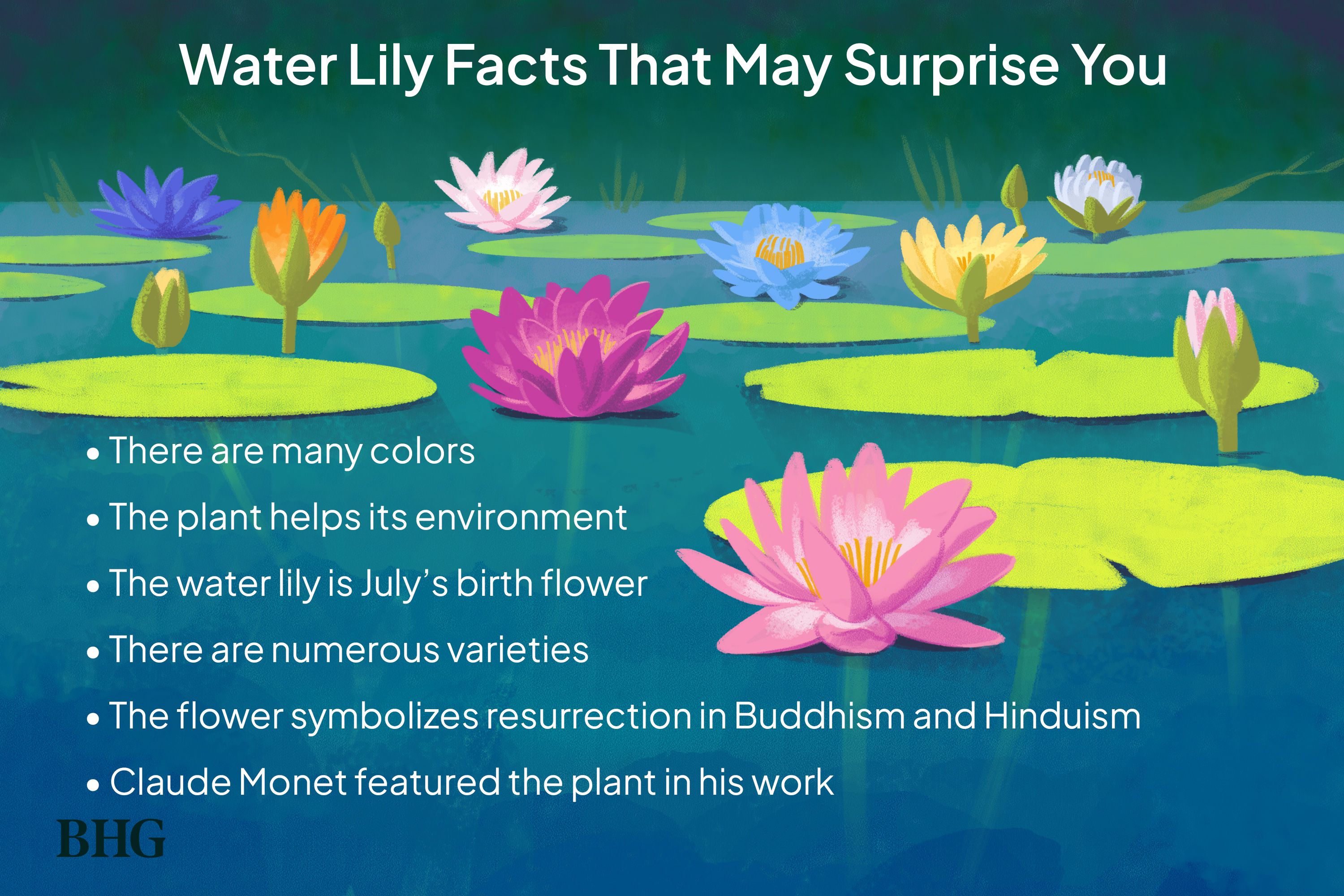 Water Lilies Tattoo Meanings: Symbolism and Significance