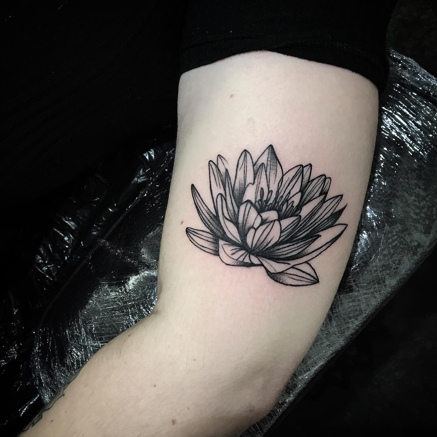 Water Lily Tattoo Images Photos