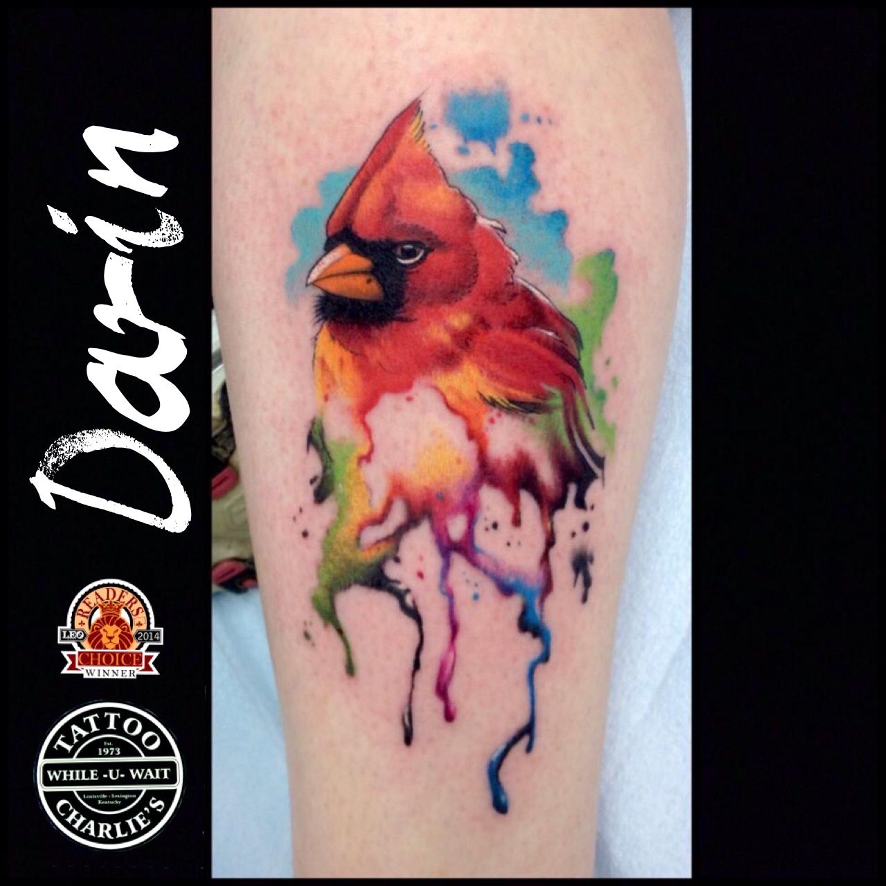 Watercolor Cardinal Tattoo By Darin Red Bird Tattoos Tiny Bird