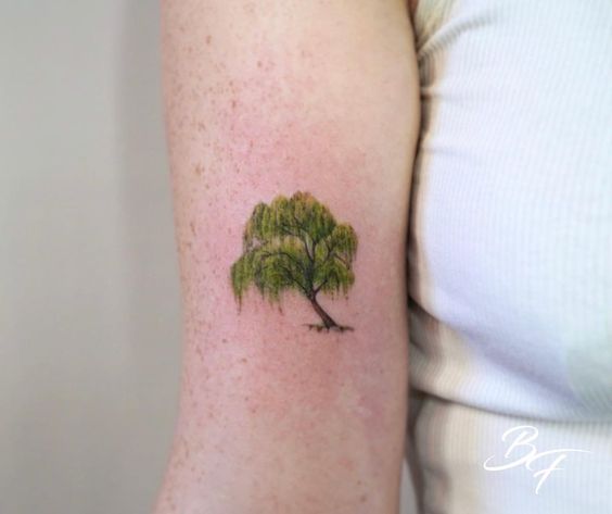 We Choose These Small Willow Tree Tattoos To Inspire You