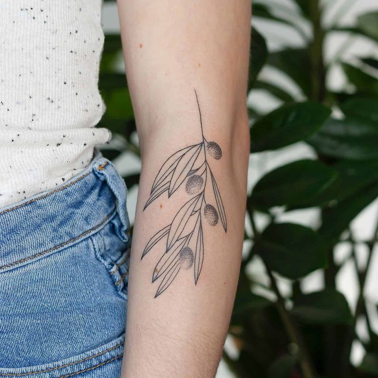 What Do Olive Branches Symbolize Tatouage De Branche Tatouage Dragon