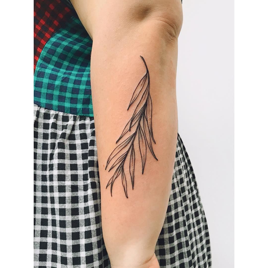 5 Reasons to Get a Willow Tree Branch Tattoo