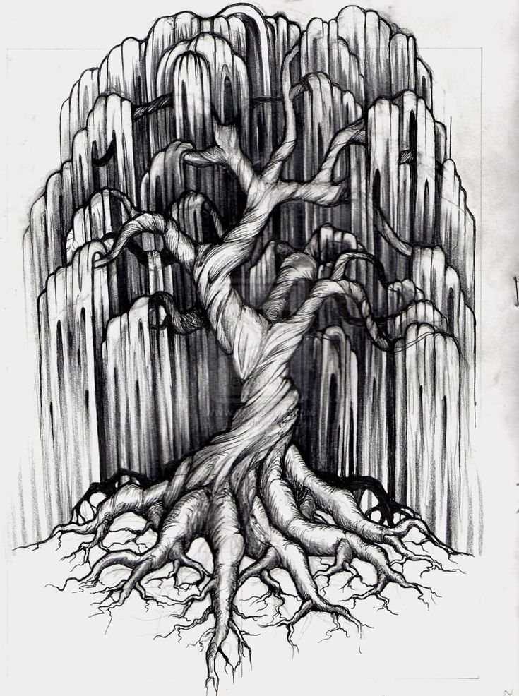 Willow Tree Tattoo Drawings