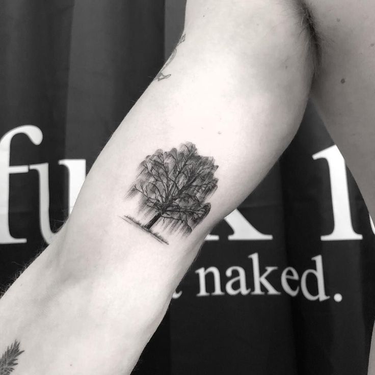 Willow Tree Tattoo Meaning Unlock The Secret Of Nature 2023