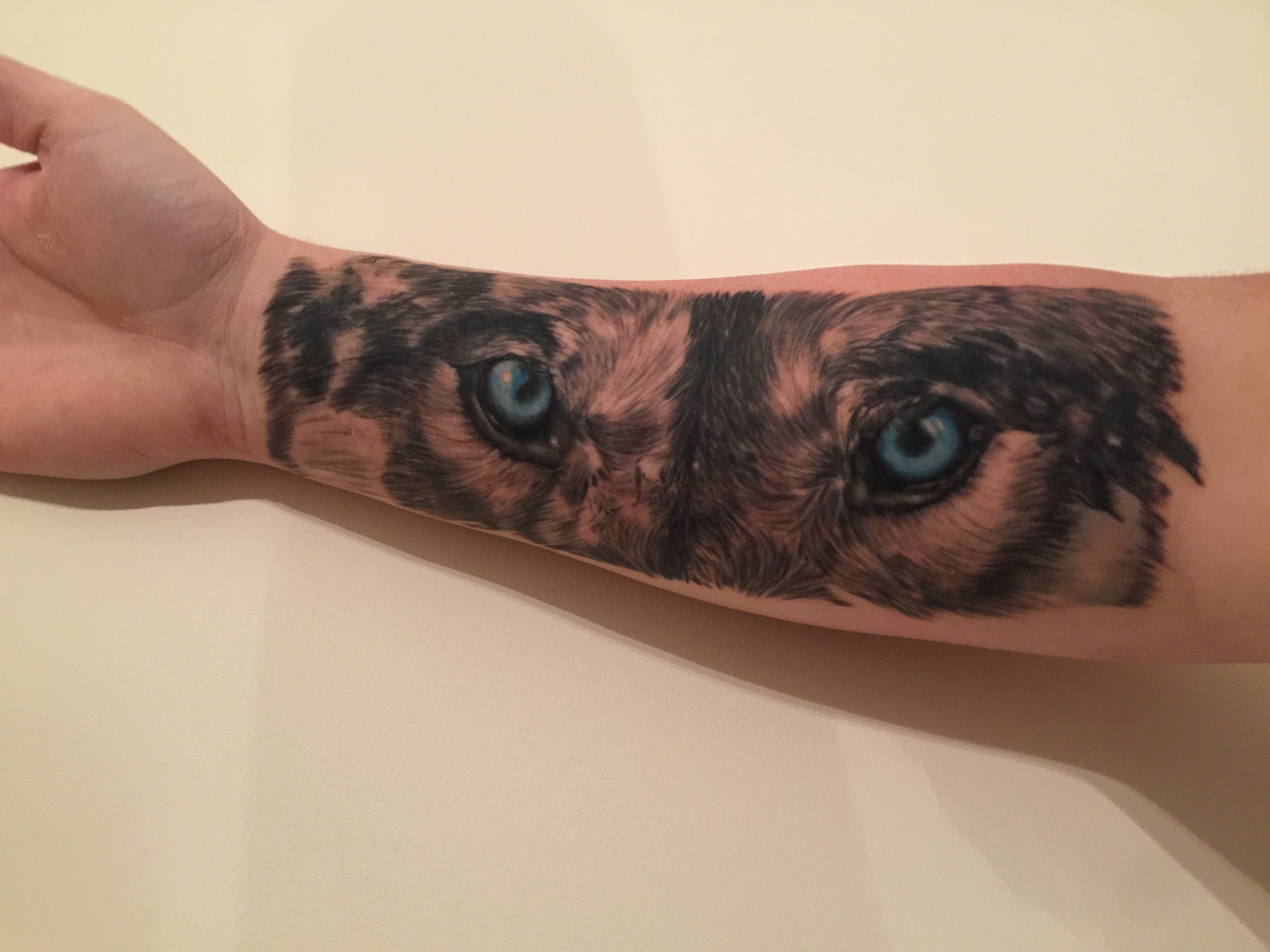 5 Wolf Tattoo Designs with Mesmerizing Blue Eyes