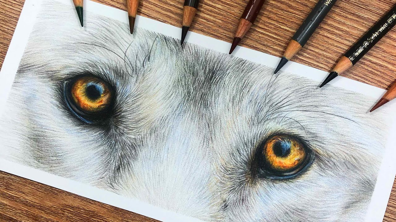 Wolf Tattoo With Colored Eyes Lineartdrawingsflowershanddrawn