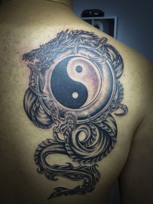 Yin And Yang Dragon Tattoos Dragon Tattoo Ideas Dragon Tattoos