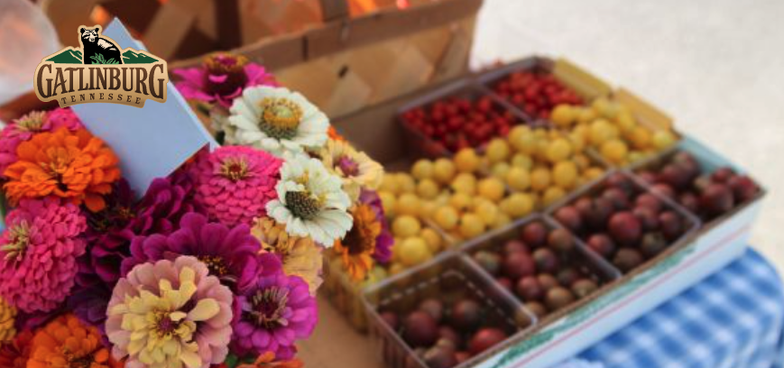 Yummy Found At The Gatlinburg Farmers Market Store In Gatlinburg Tn Along With Many Other