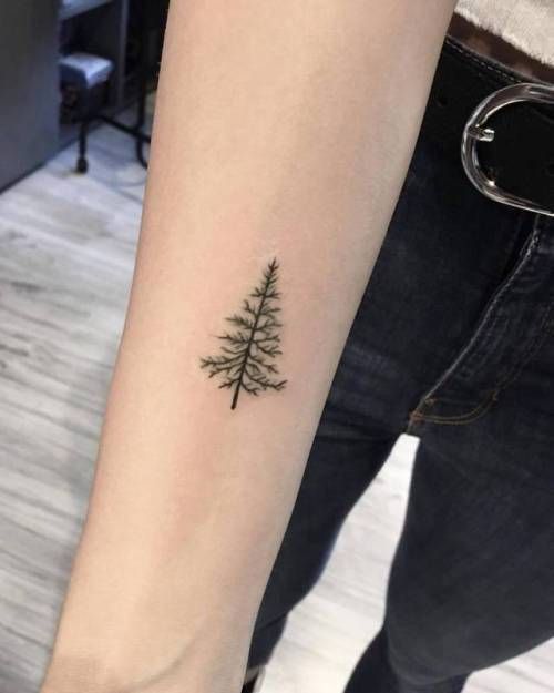 Zoroastrian Cypress Tree Tattoo Meaning and Designs